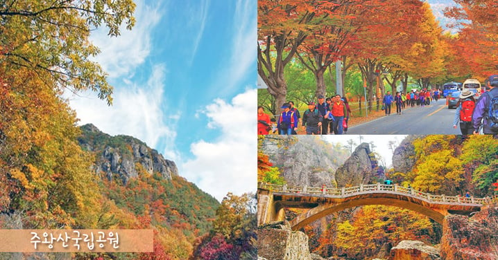 秋天正悄悄來臨了～觀賞紅葉必到韓國周王山國立公園！走進浪漫迷人的楓葉世界～