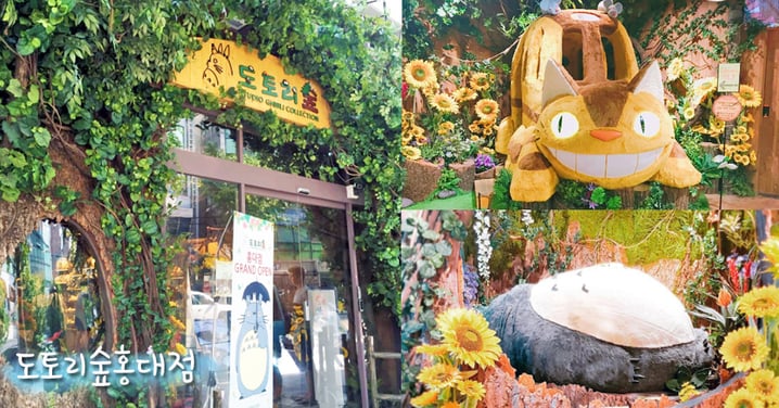 在韓國也可以親親龍貓～吉卜力迷快到橡子森林弘大店朝聖！