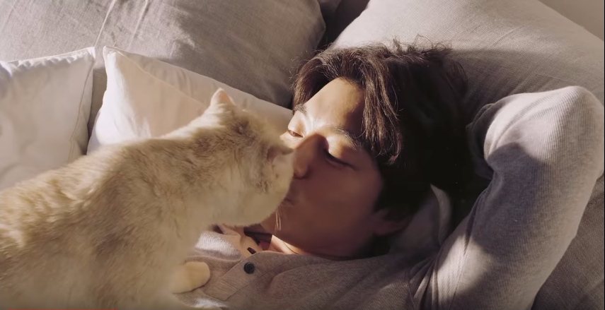 gong yoo coway 3