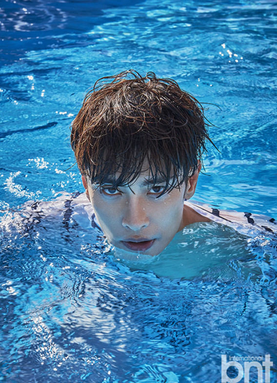 bnt