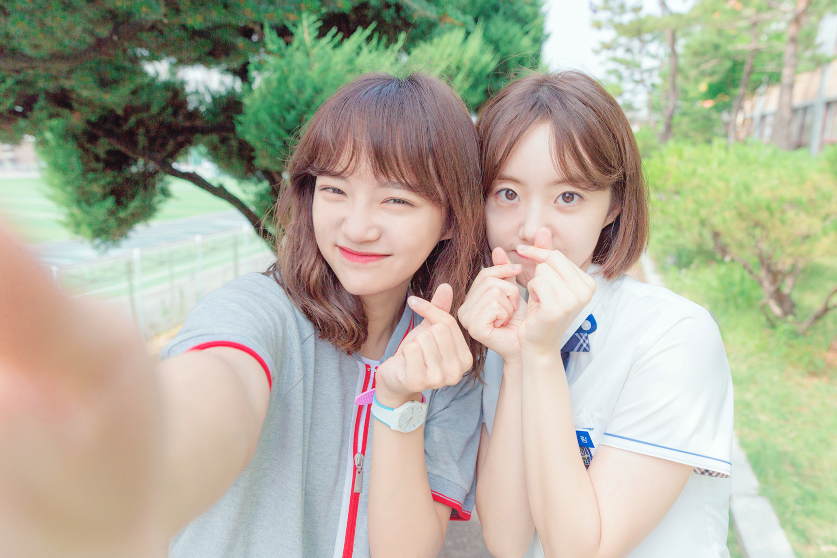 school 2017 0810 14