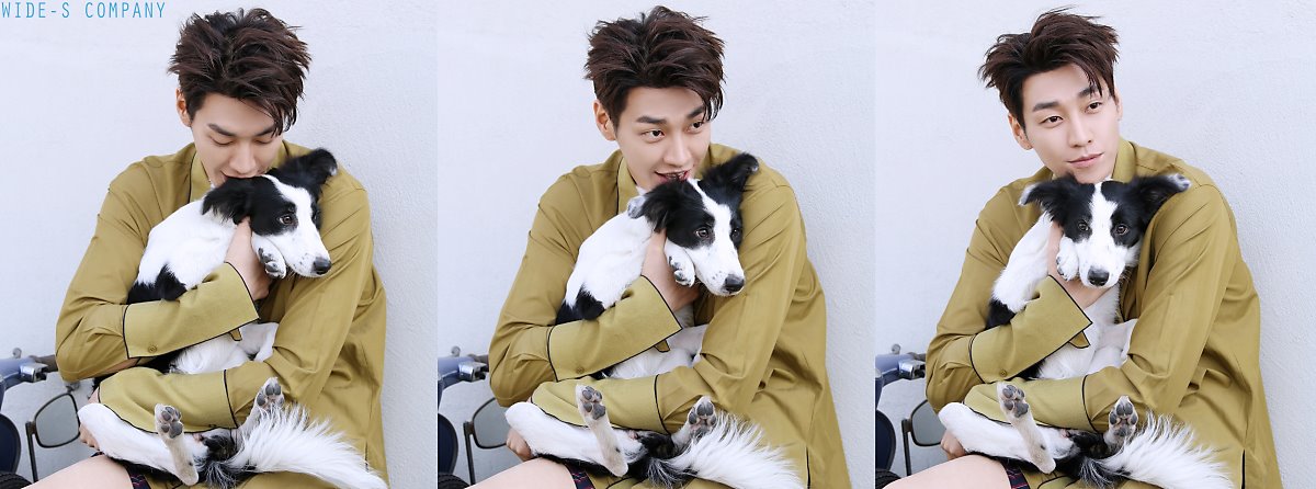 와이드에스컴퍼니 