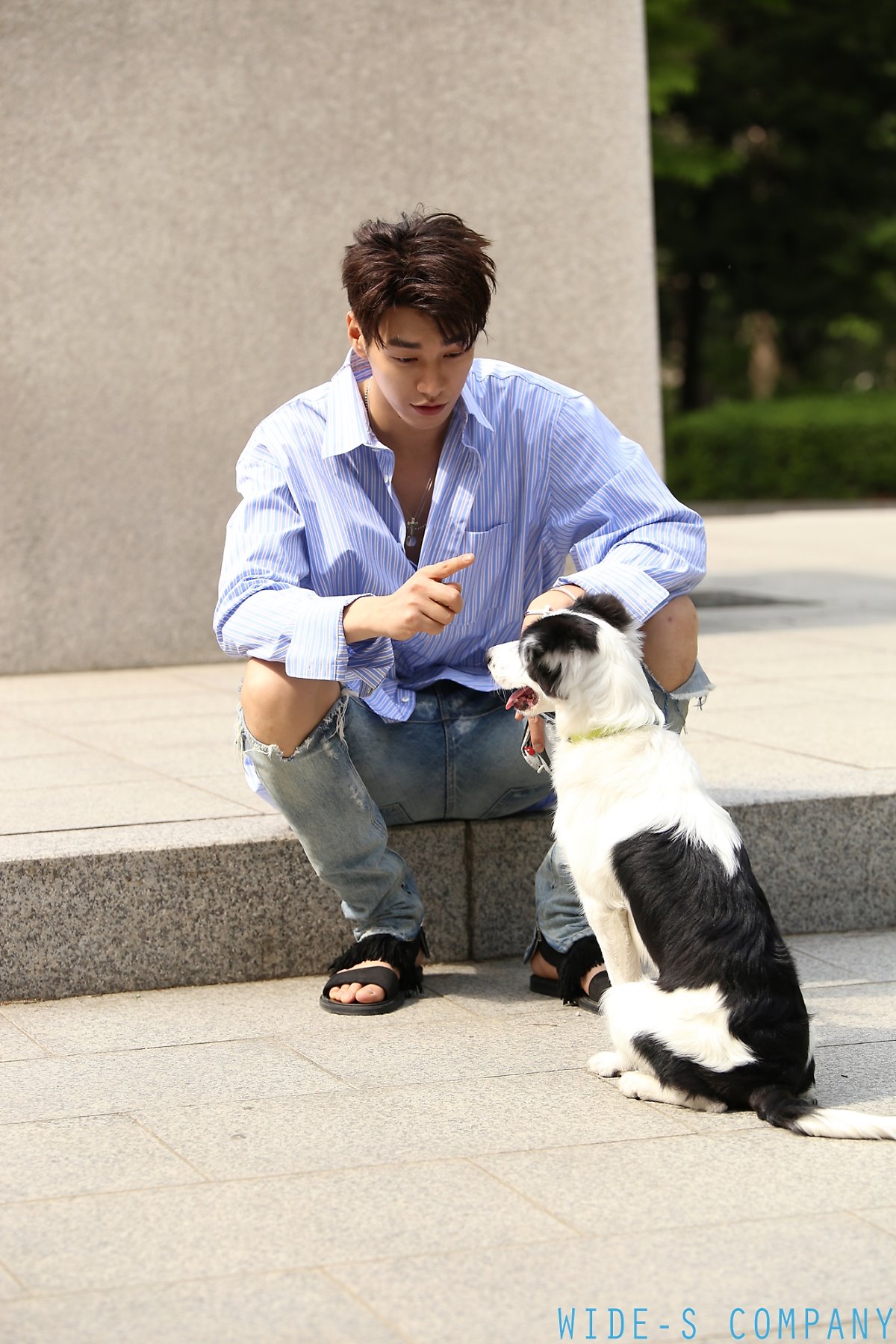 와이드에스컴퍼니 