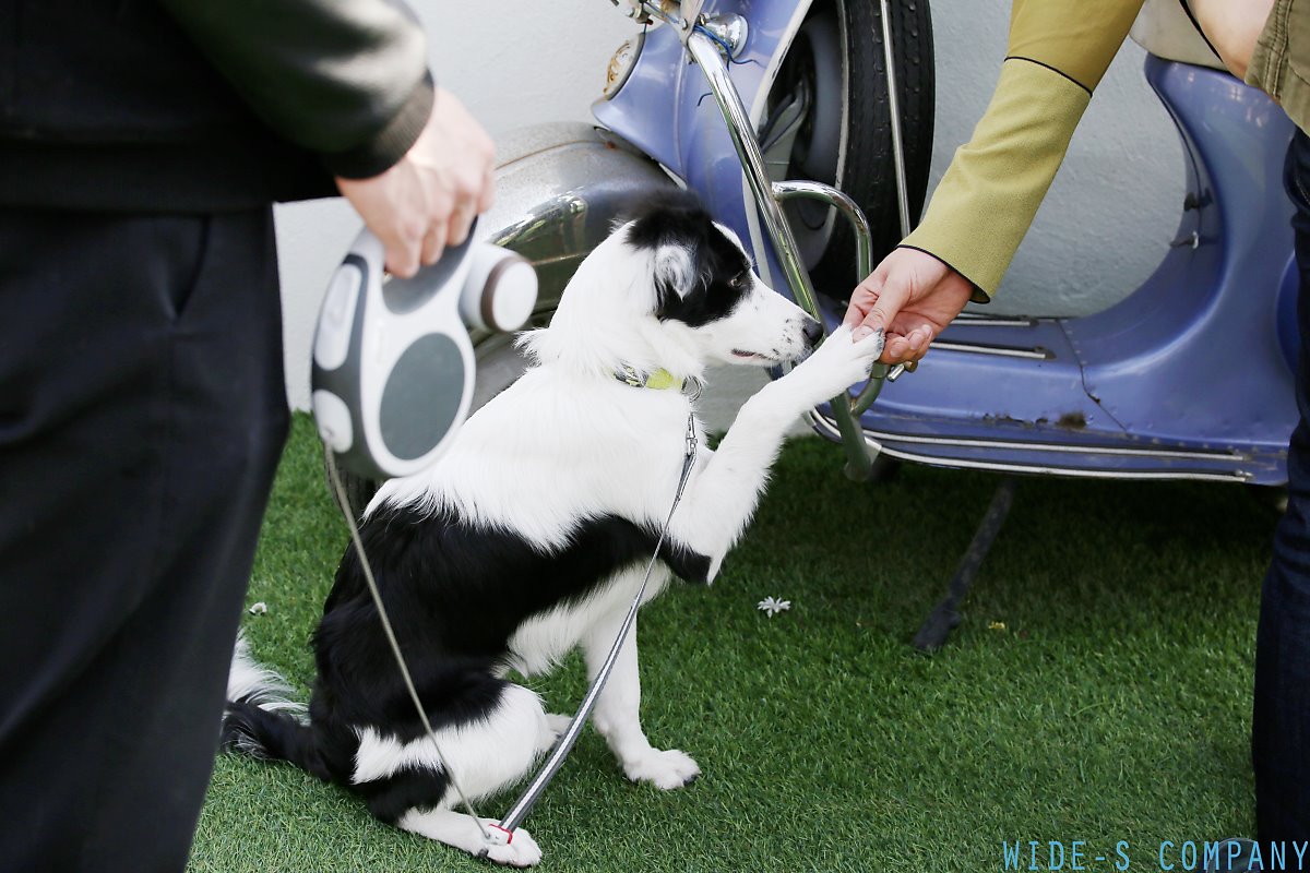 와이드에스컴퍼니 