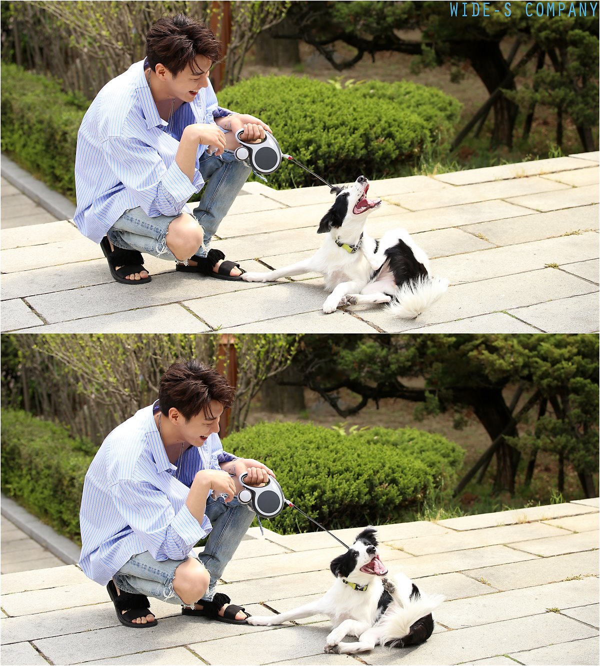 와이드에스컴퍼니 