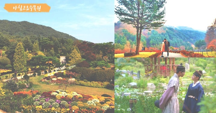 超唯美夢幻啊～《雲畫的月光》的人氣拍攝景點～京畿道的世外桃源「晨靜樹木園」！