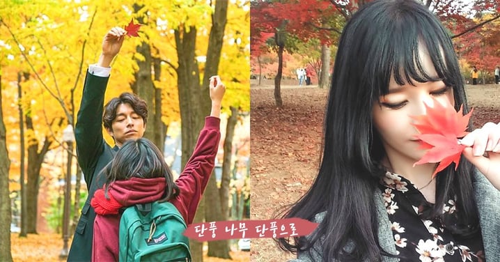 跟《鬼怪》來個紅葉漫步～韓國9月起進入楓葉泛紅時期，裝裝鬼怪新娘的時候到了～