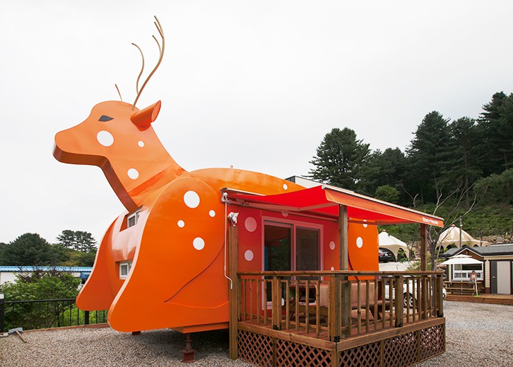 Animal Caravan