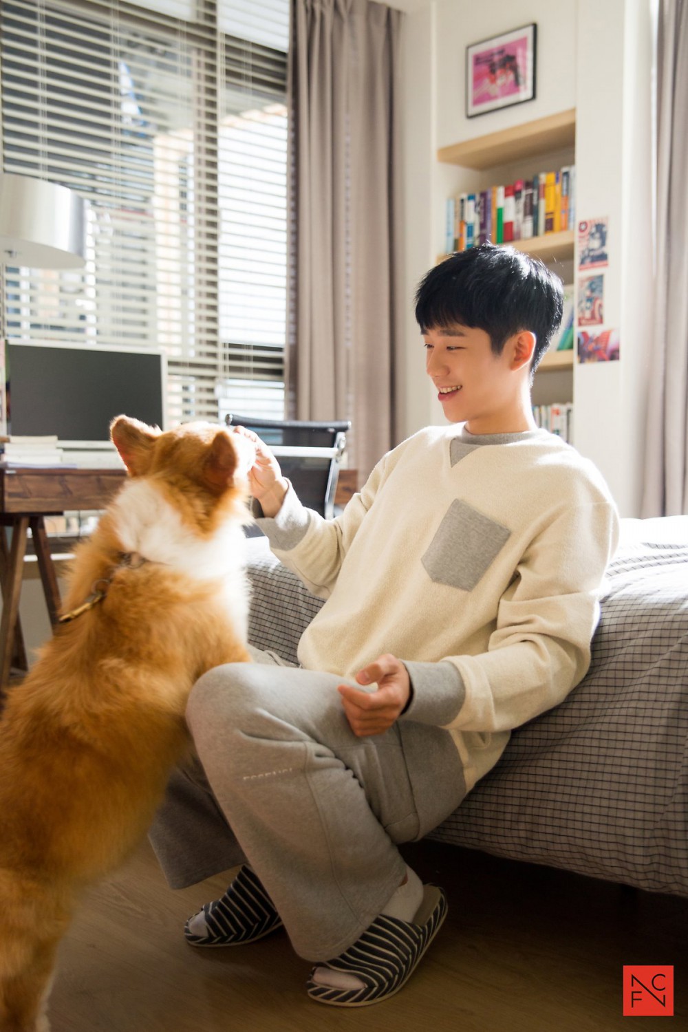 世上最幸福的柯基犬～《當你沉睡時》可愛賣萌的柯基犬羅賓，李鍾碩、丁海寅通通都被迷倒～