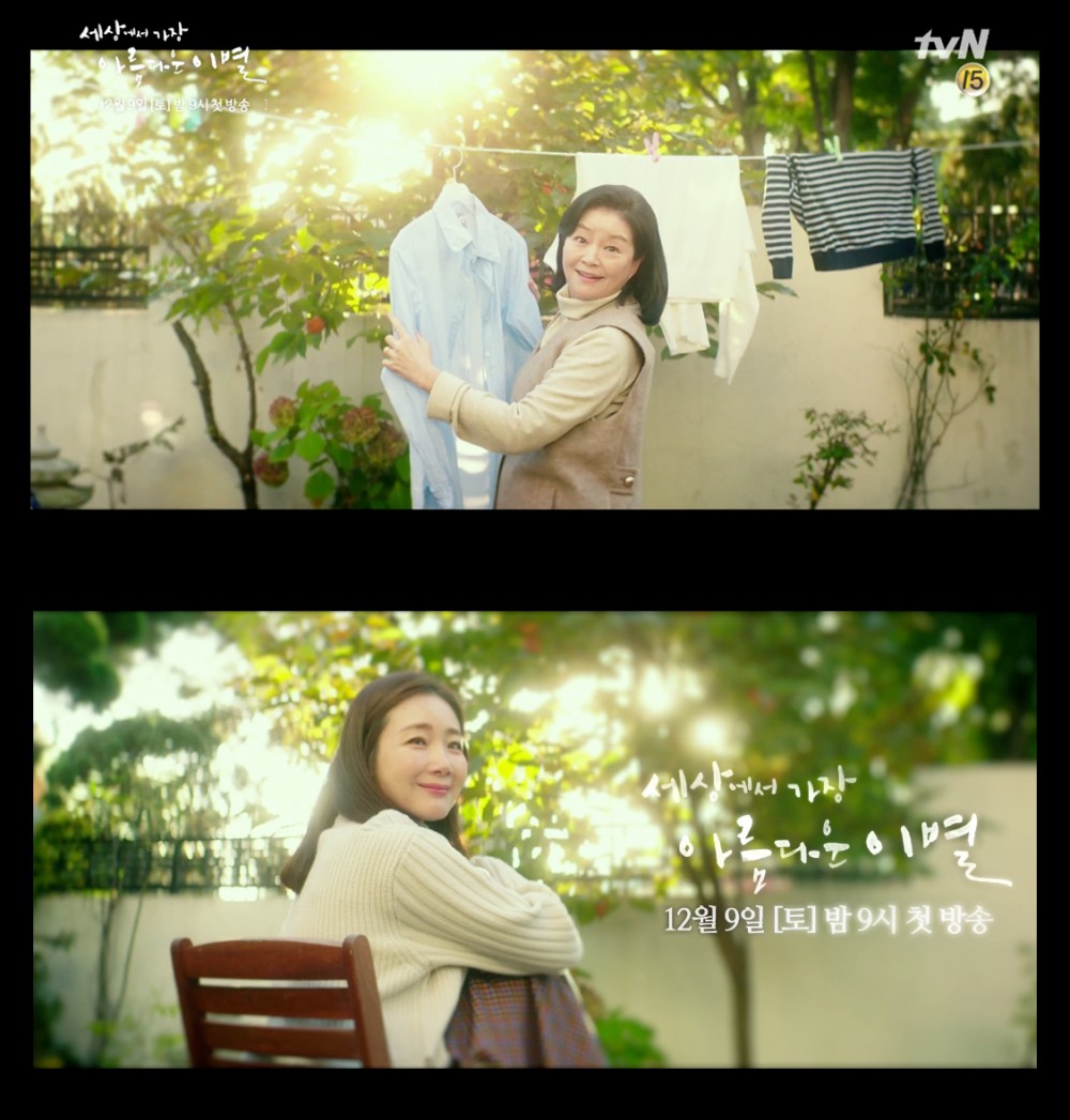 tvN