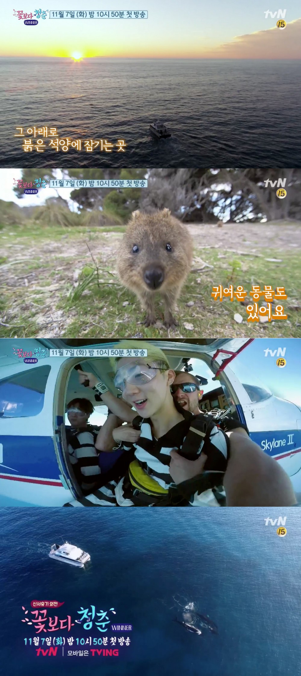 tvN