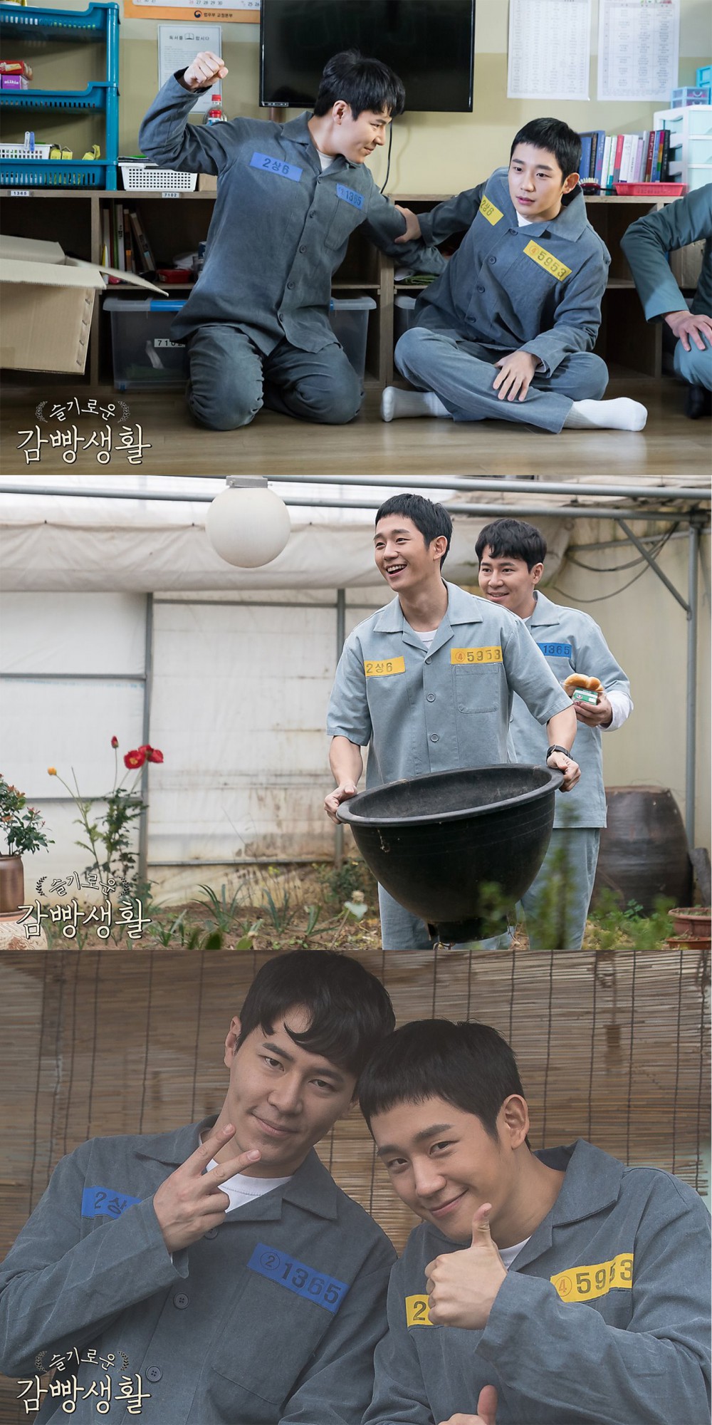 tvN