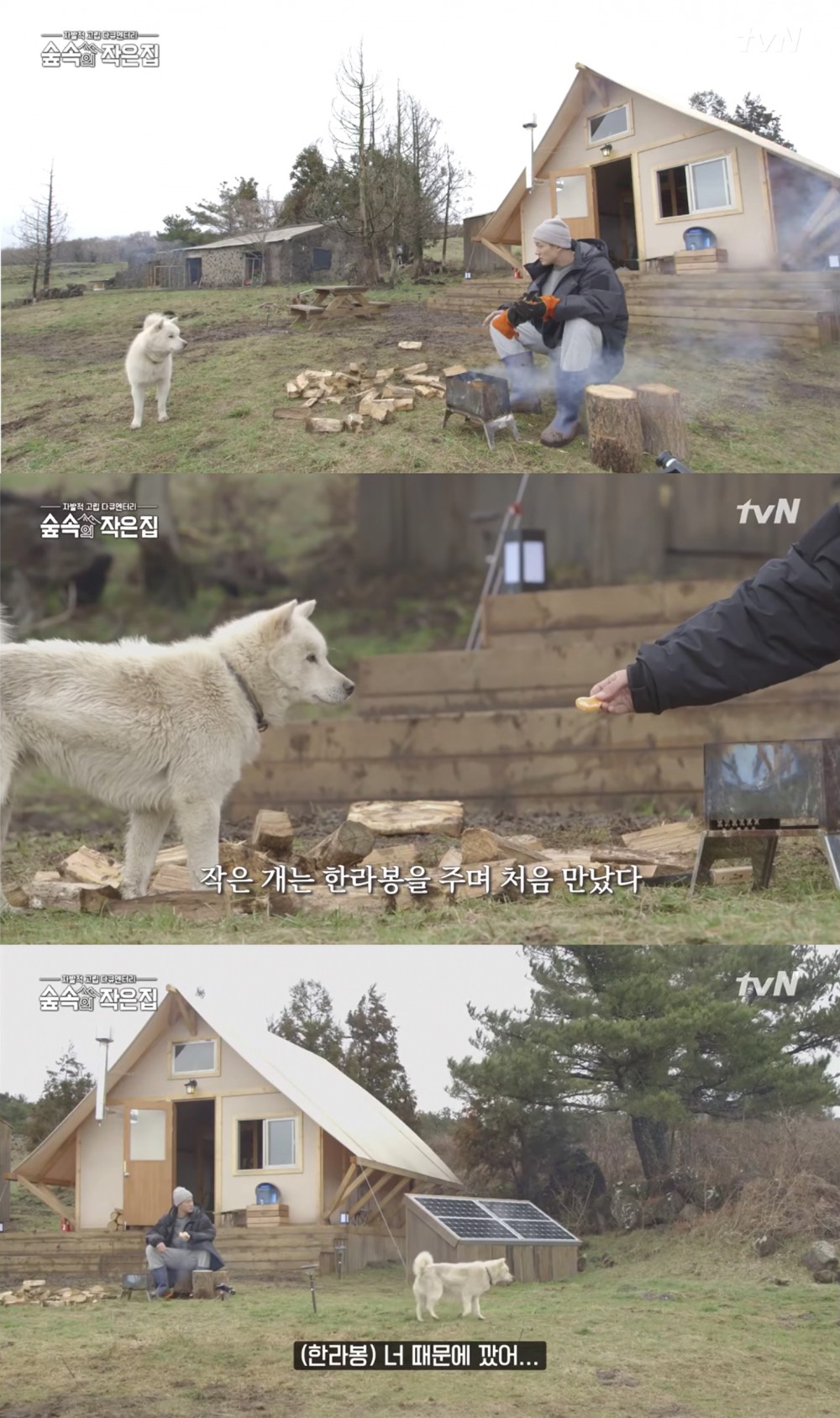 tvN
