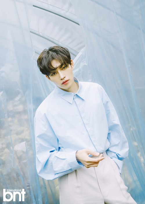 bnt