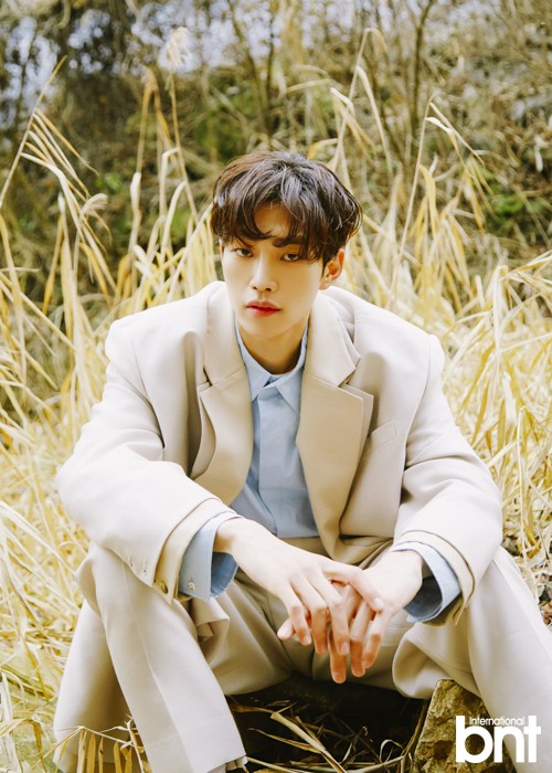 bnt