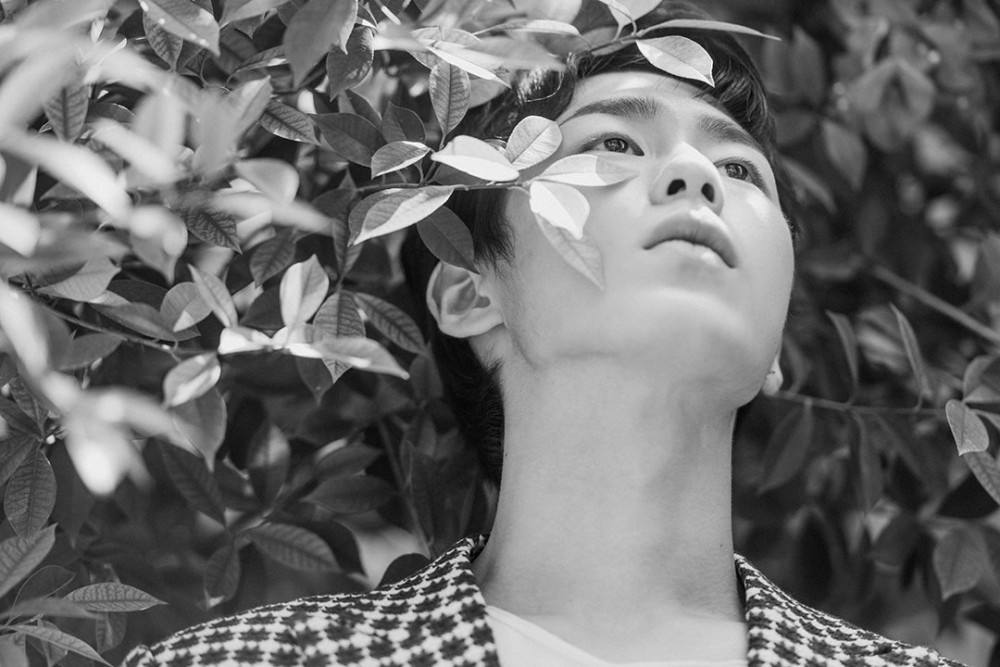 VAST엔터테인먼트