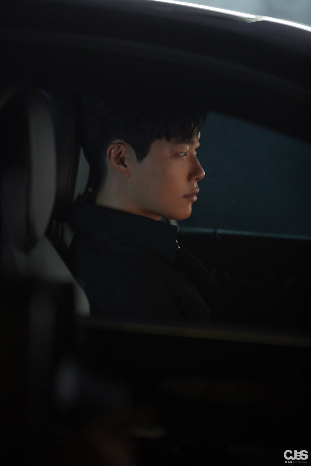 씨제스