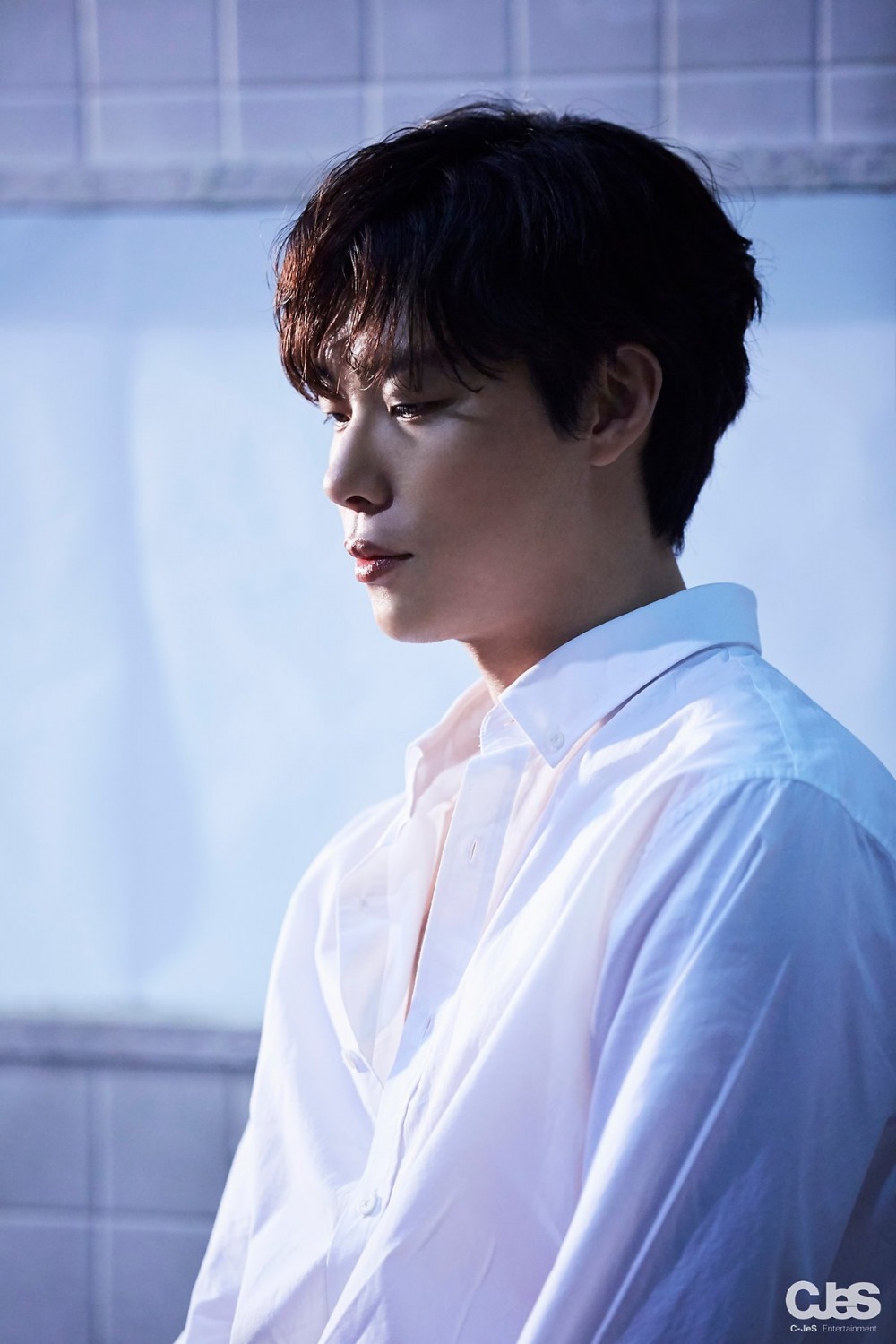 씨제스