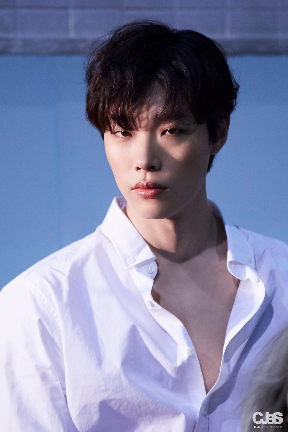씨제스