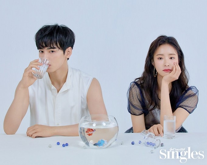 싱글즈