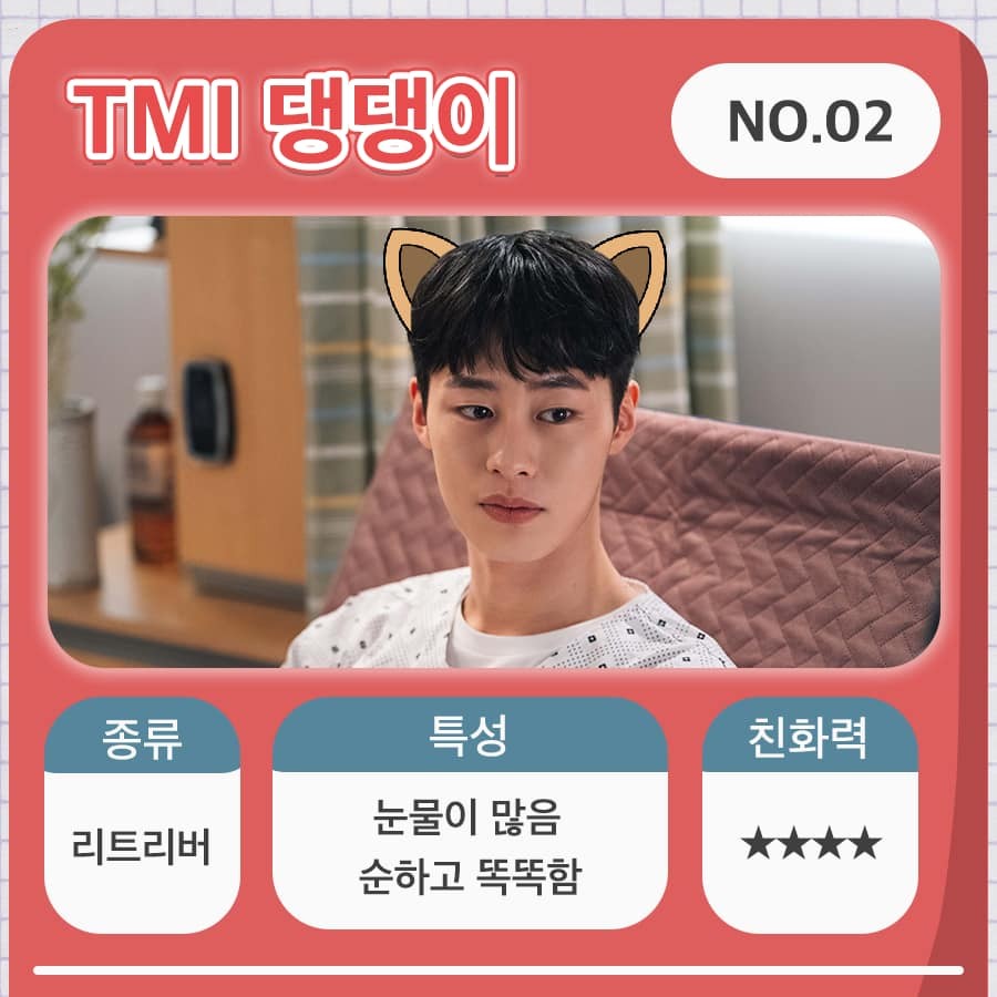 tvN