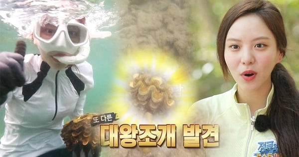 《叢林的法則》捕食瀕危動物事件越演越烈,李烈音可能無法再踏足泰國!網友質疑:真的是她捉的?