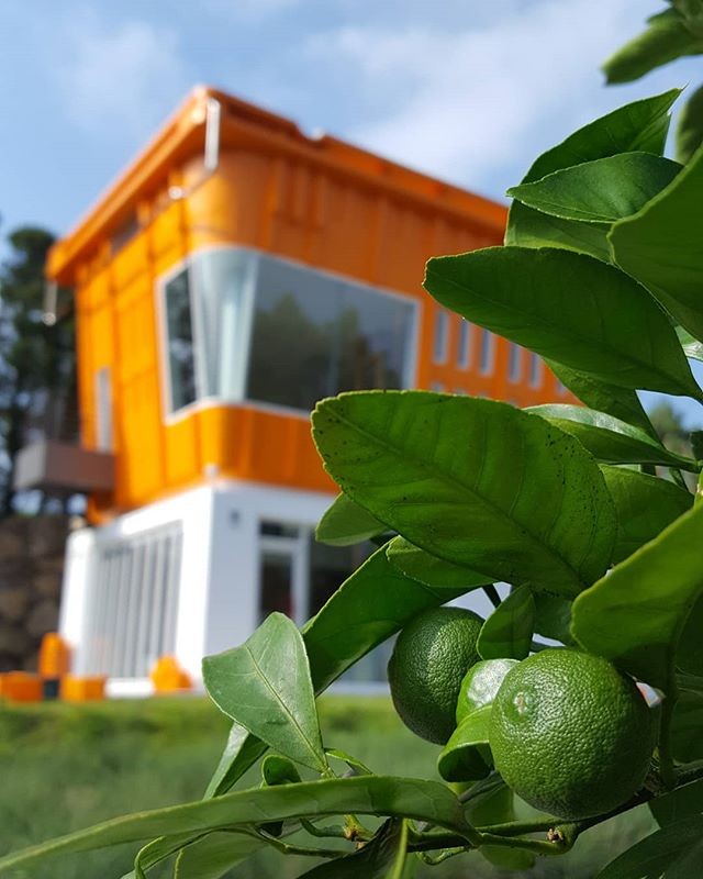 Instagram @cafe_the_container