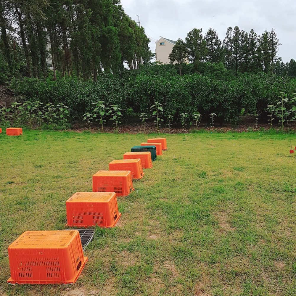 Instagram @leppe1123