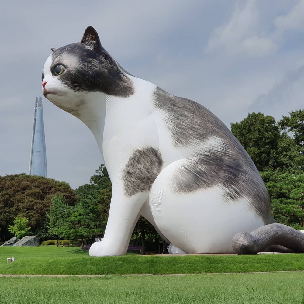 Instagram @taehyukwoo