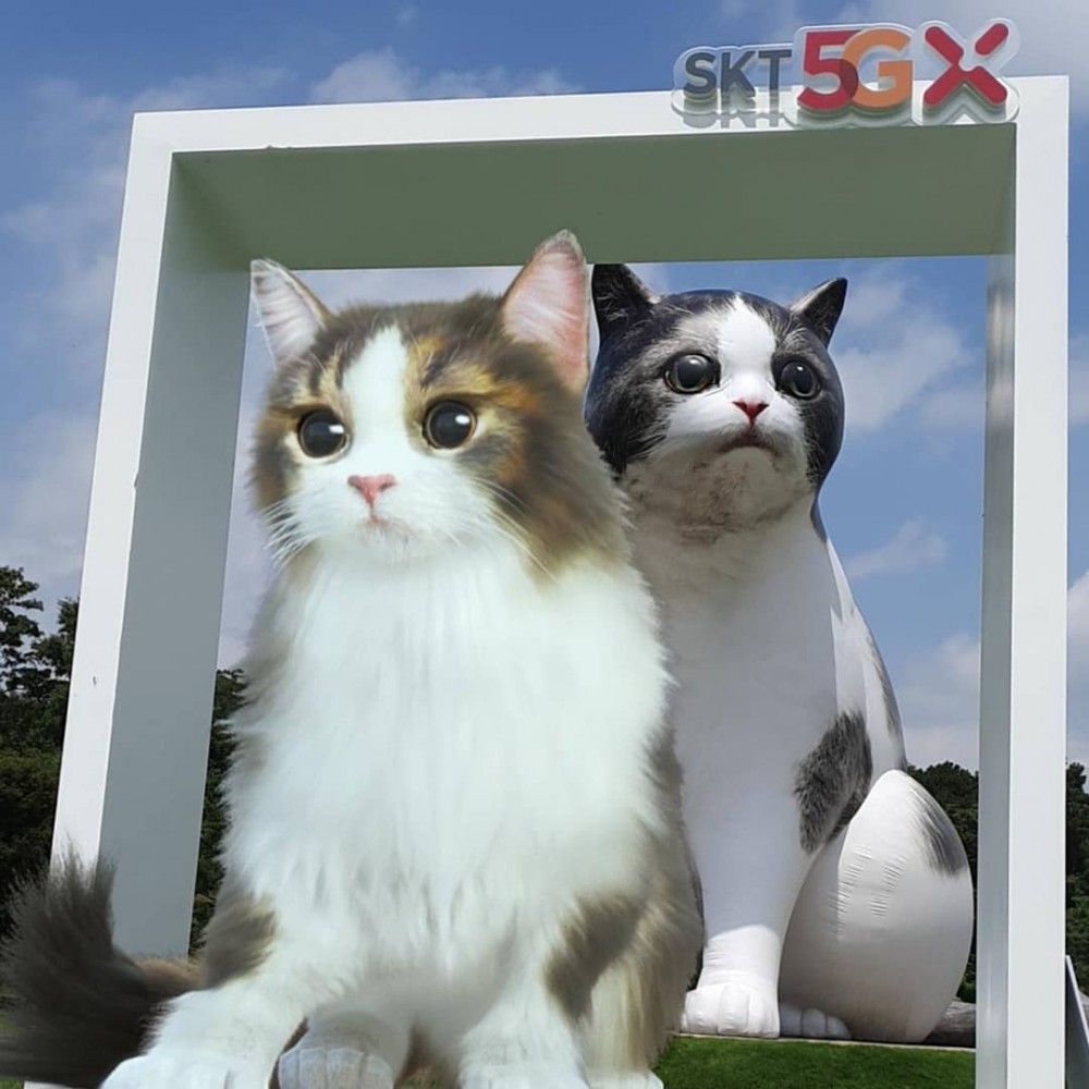 Instagram @taehyukwoo