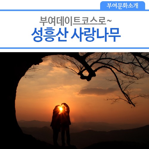 naver