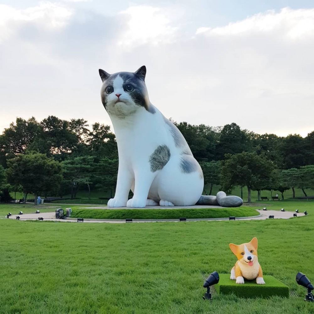 Instagram @lv24gold_jh