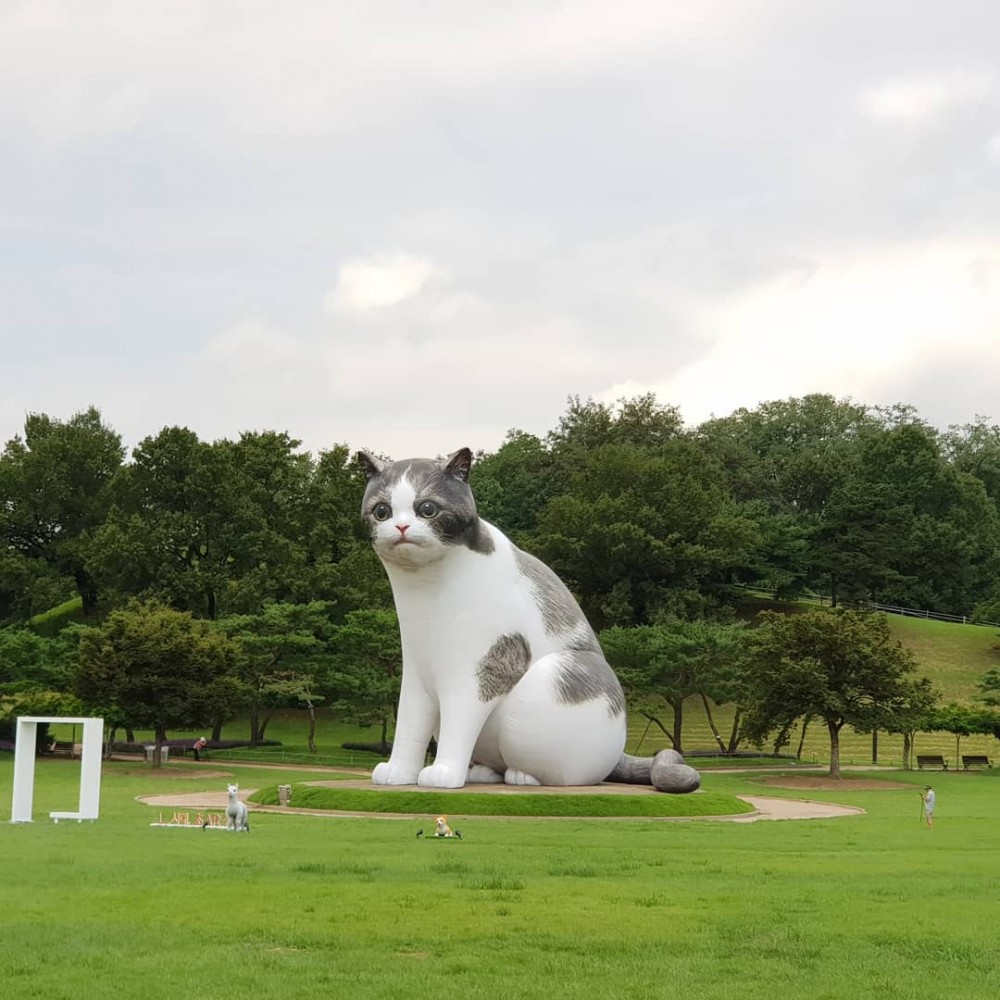 Instagram @ssonyoo79