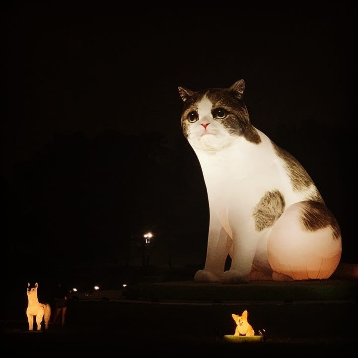 Instagram @taehyukwoo