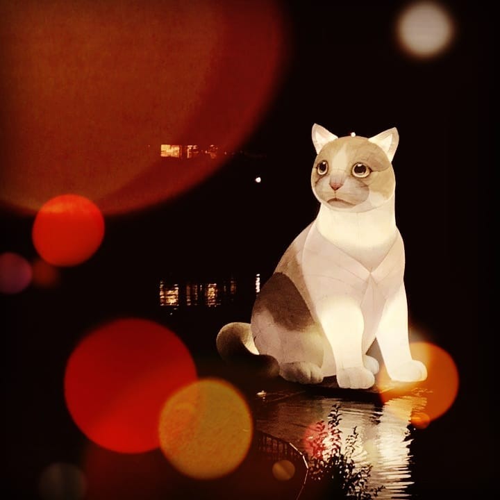 Instagram @taehyukwoo