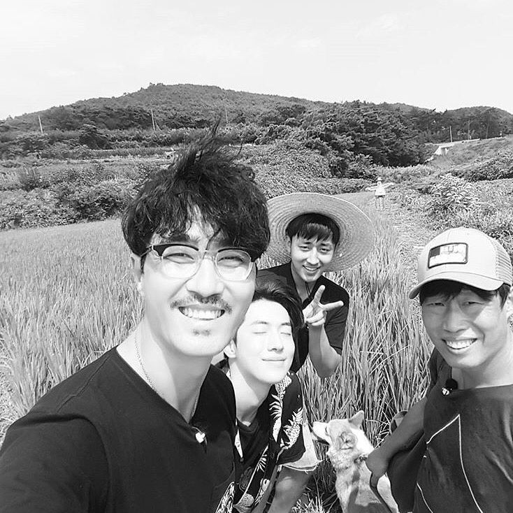 naver