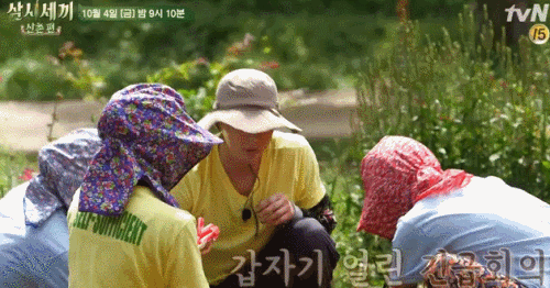 朴敘俊穿上農作服