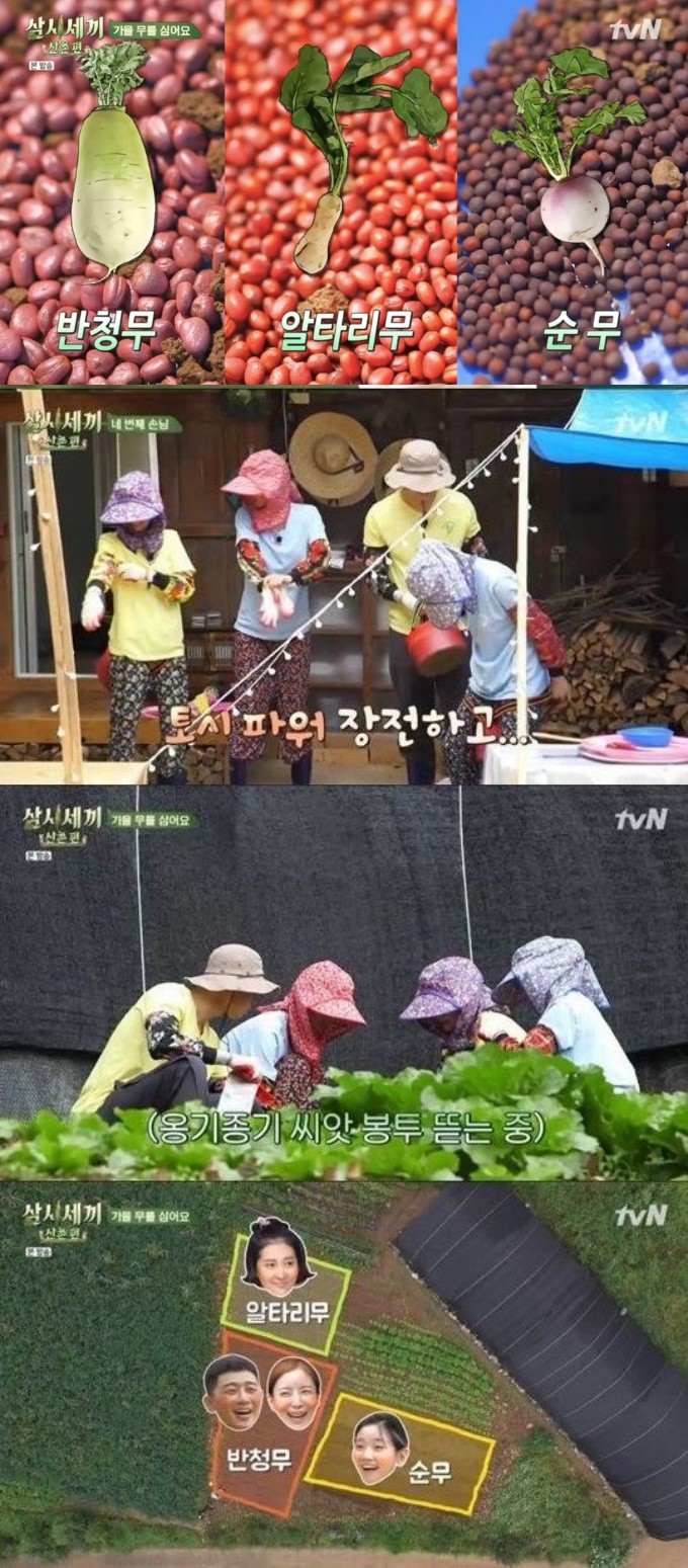 tvN