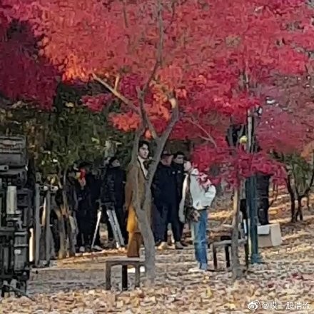 李敏鎬與金高銀