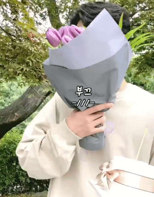 NAVER