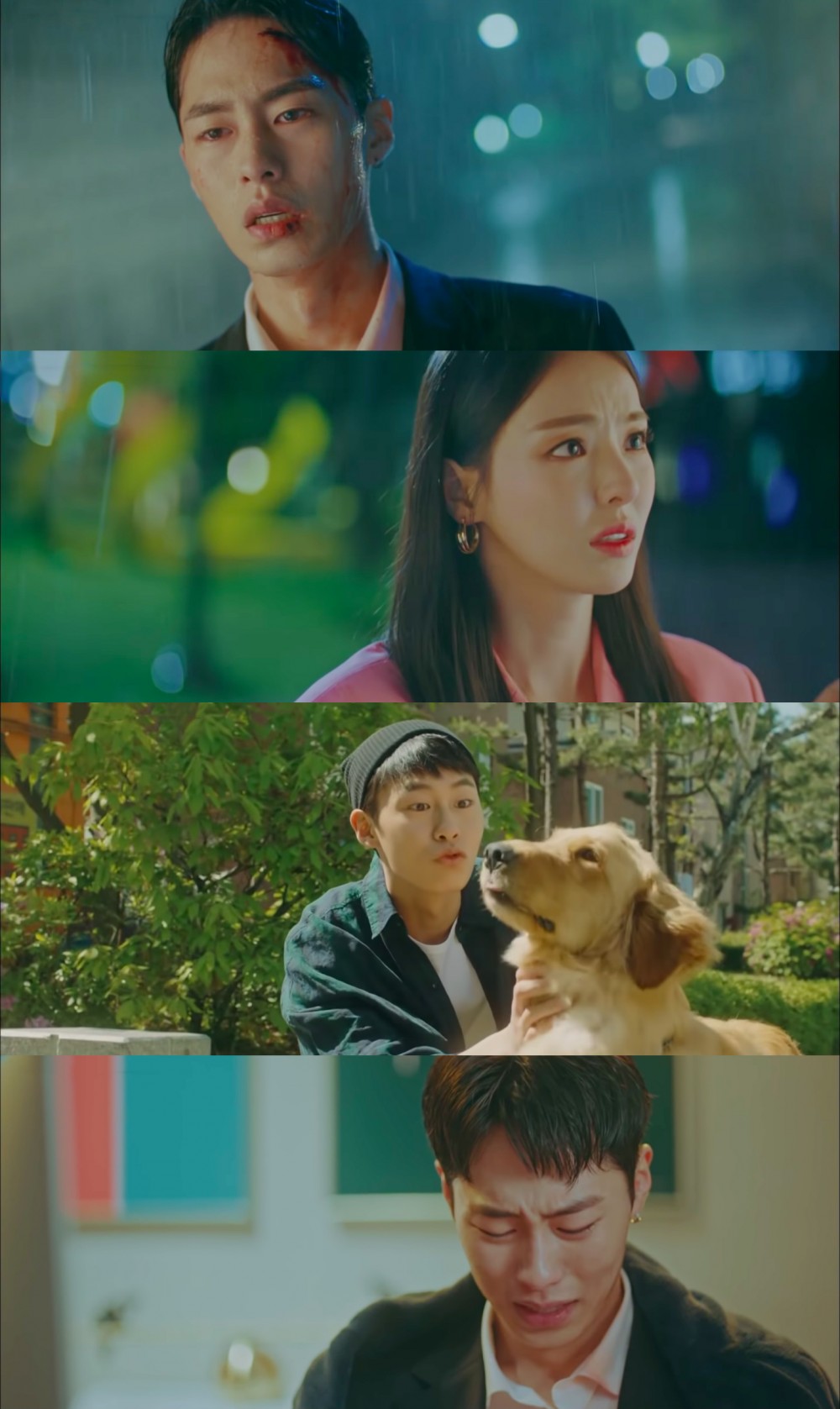 薛智煥為了已逝愛犬求助車賢