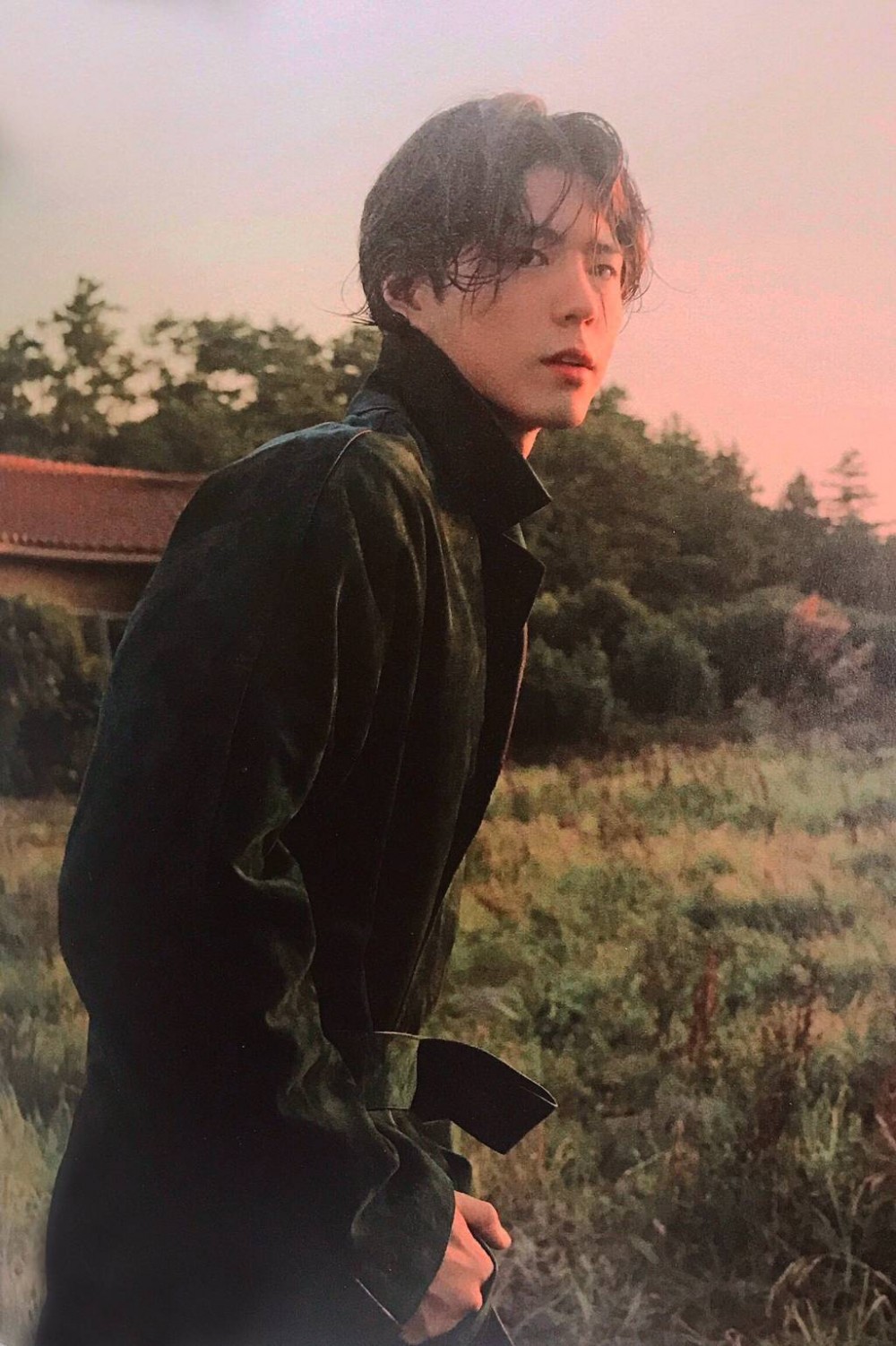 朴寶劍2020年曆寫真