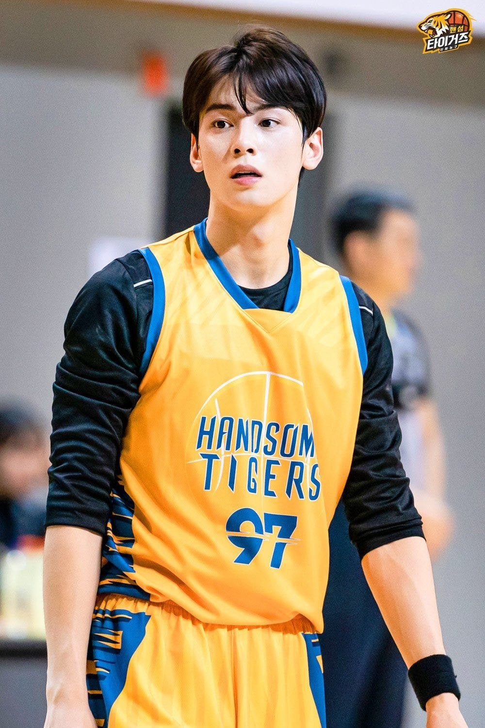 《Handsome Tigers》車銀優