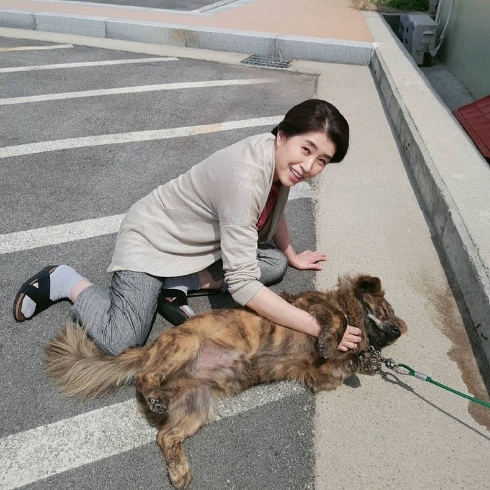 國民媽媽金美京
