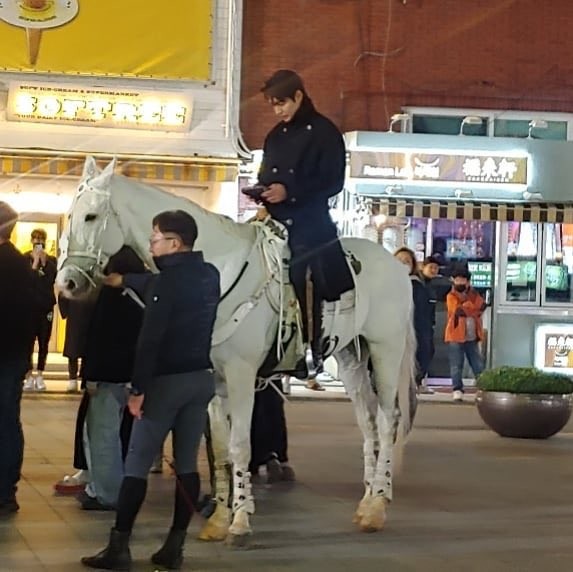 李敏鎬騎白馬滑手機