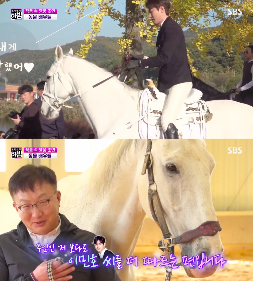 《The King：永遠的君主》白馬麥希穆斯專訪