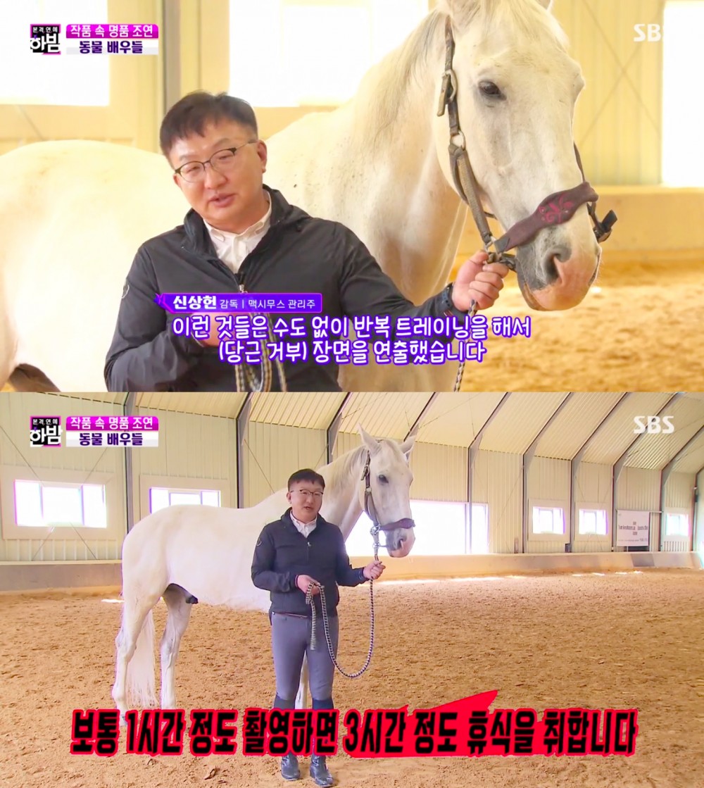 《The King：永遠的君主》白馬麥希穆斯專訪