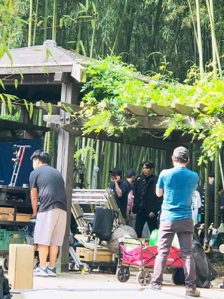 《The King:永遠的君主》李敏鎬、金高銀竹林路透