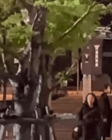 《The King：永遠的君主》李敏鎬「公主抱」金高銀