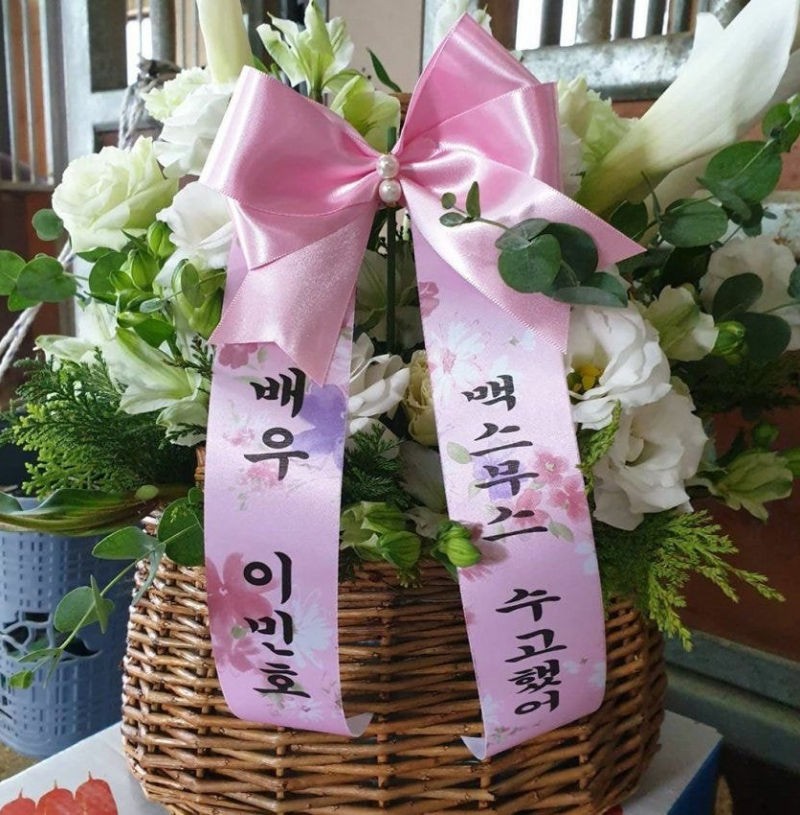 《The King：永遠的君主》李敏鎬為白馬「麥希穆斯」送上應援